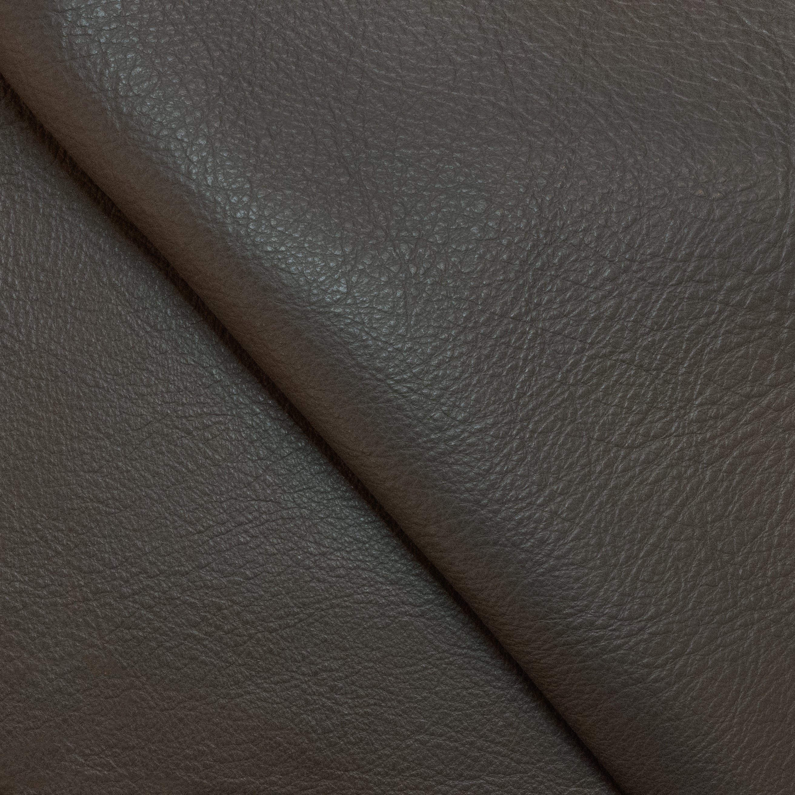 Skovby 3"x6" Sample