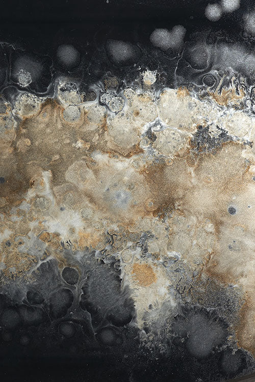 Black Organic Glass Tray Oblong