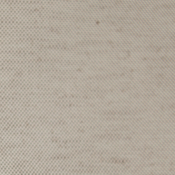 Siesta Canvas Color