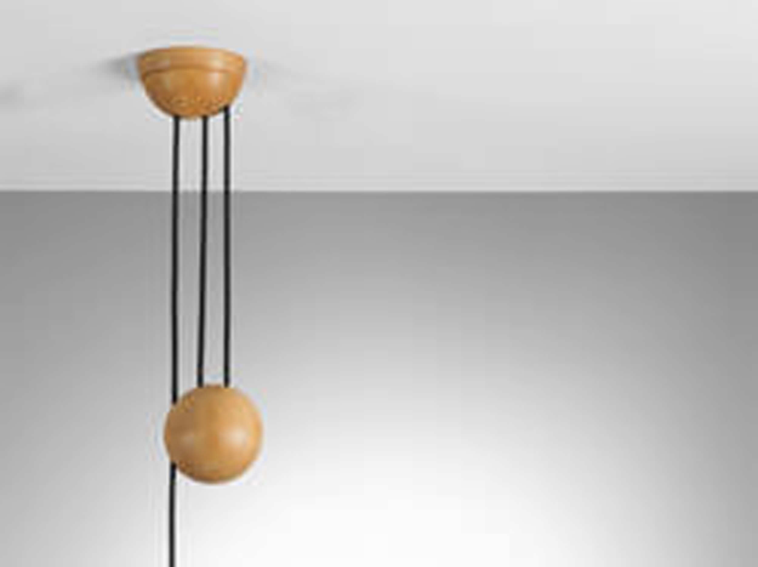 Pendant Adjustable mountin option Hansen Interiors