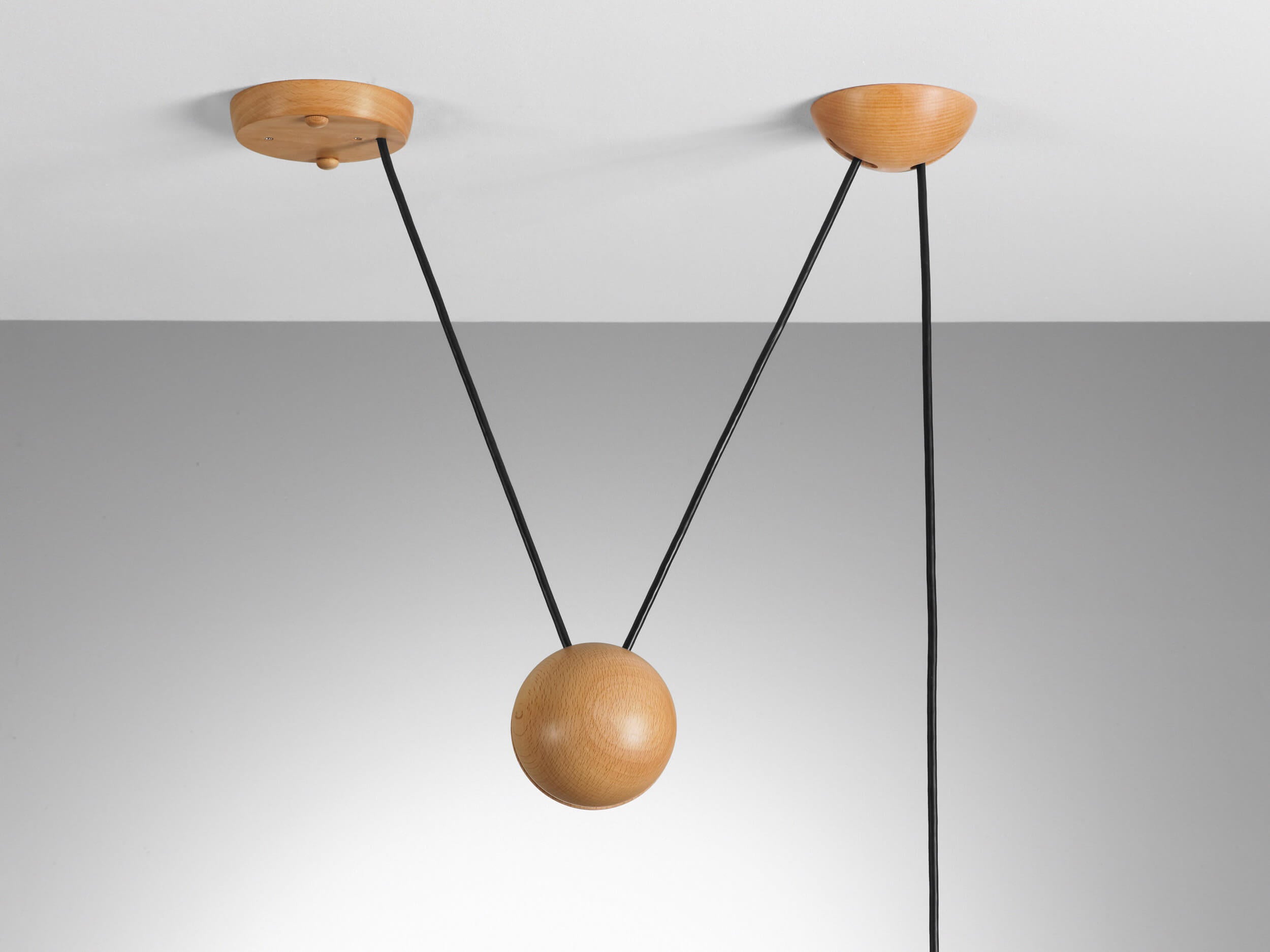 Pendant Adjustable mounting Hansen Interiors