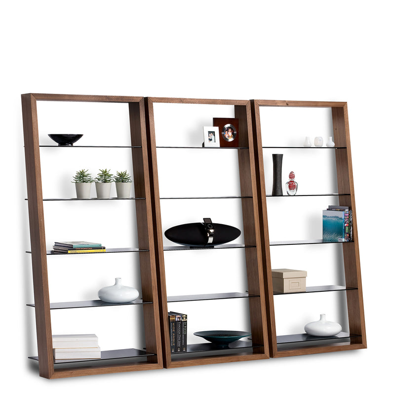 BDI EIleen 5166 Leaning Shelf Natural Walnut set of three white plants and books GALLERY