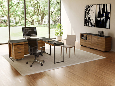 BDI Sequel Return 6112 wiht 6101 Desk Natural Walnut and storage furniture  Contemporary house GALLERY