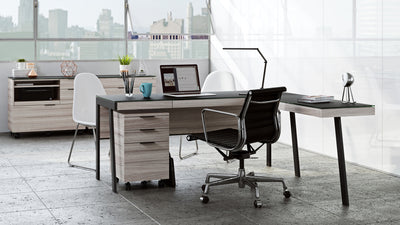 BDI Sigma Cabinet 6907 with 6901 desk GALLERY