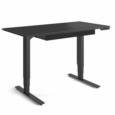 BDI Stance lift Desk 6650 with drawer GALLERY
